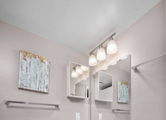 a bathroom with a sink toilet and mirror