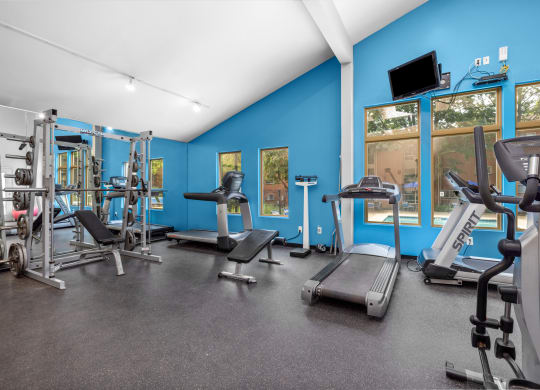 free weights and cardio machines at the enclave at woodbridge apartments in sugar land, tx