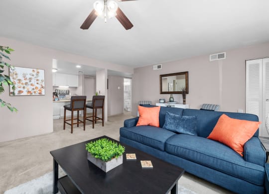 a living room with a blue couch and a coffee table with a plant on top of it
