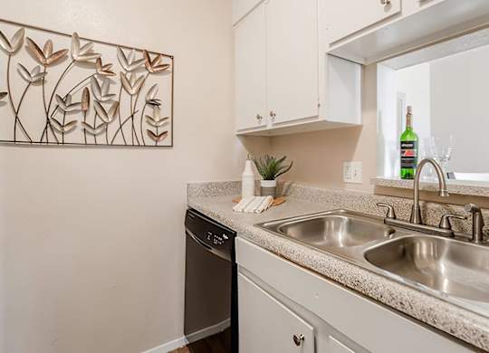 a kitchen with a sink and a window