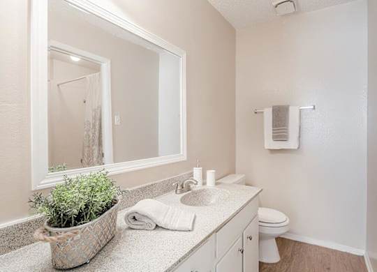 a bathroom with a mirror and a toilet and a sink