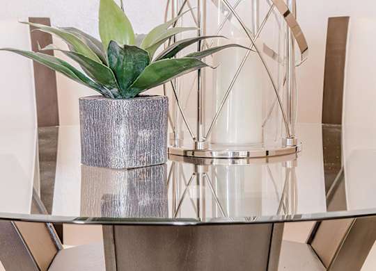 a potted plant sitting on top of a glass table