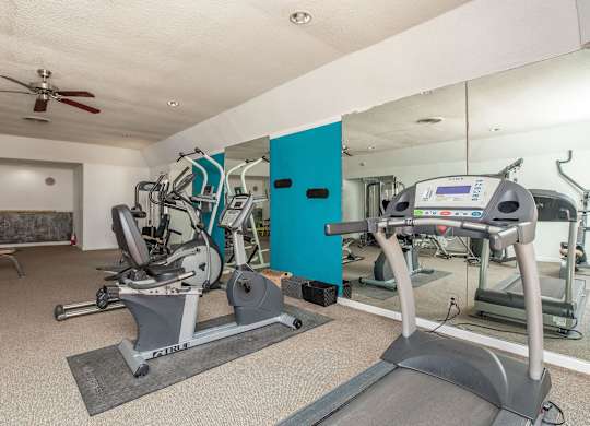 the gym has plenty of exercise equipment and mirrors