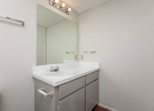 a bathroom with a sink and a mirror and a toilet