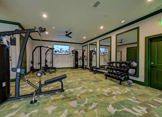 A gym with a variety of equipment including a squat rack, bench, and dumbbells.