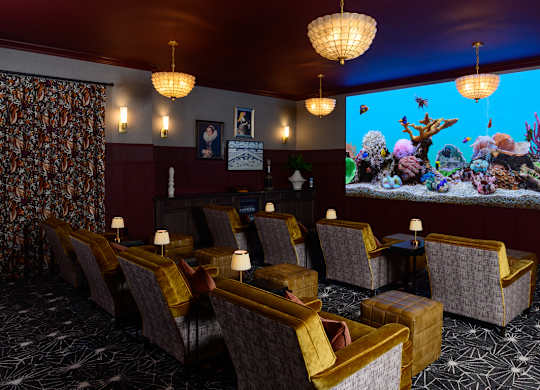 A room with a row of chairs facing a screen with an aquarium on it.