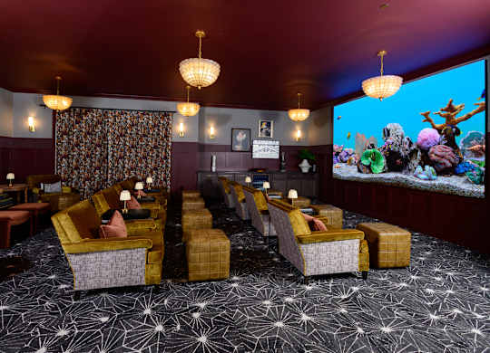 A room with a spider web patterned carpet and a large screen on the wall.