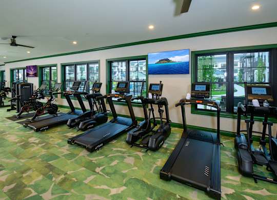 A gym with treadmills and exercise equipment.