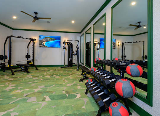 A gym with a green floor and a wall with mirrors.