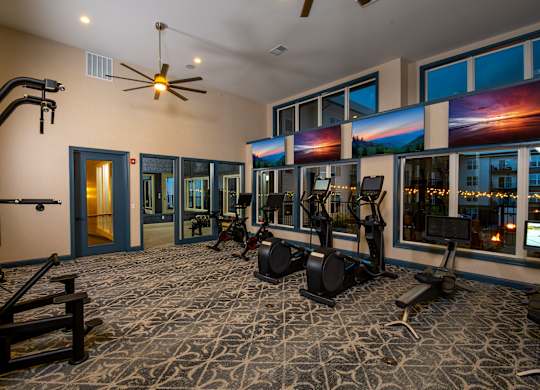 A gym with a variety of equipment including treadmills, weights, and a bench press.