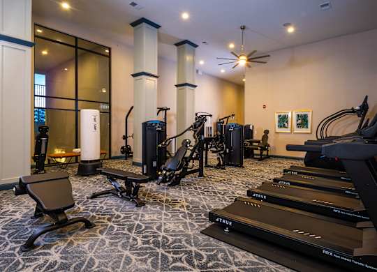 A gym with treadmills, elliptical machines, and other exercise equipment.