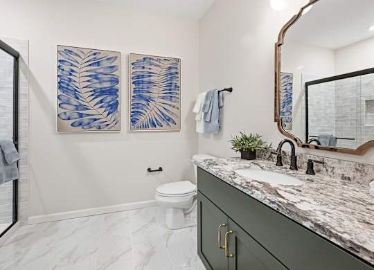 A bathroom with a toilet, sink, and two blue and white artworks on the wall.