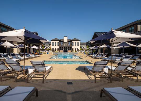 A pool surrounded by sun loungers and umbrellas.