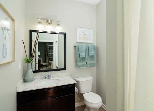 A bathroom with a toilet, sink, mirror, and a vase on the counter.