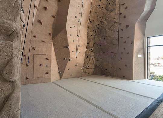 A climbing wall in a gym with a window on the side.