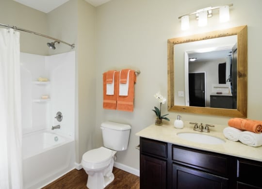 a bathroom with a toilet sink and a shower and a mirrorat Taylor House Apartments, Ohio, 43214