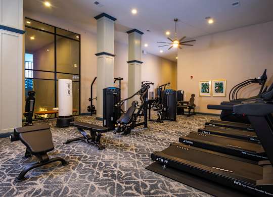 A gym with treadmills, weights, and exercise equipment.