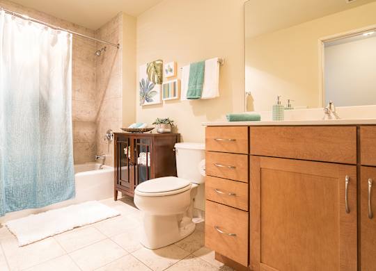 Bathroom With Bathtub and storage at Grand Wisconsin, Wisconsin