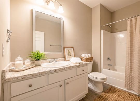Bathroom Interior at Club Villas Apartments, Georgia, 31047