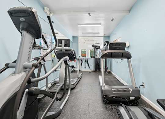 A row of treadmills and exercise bikes in a gym.