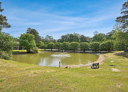 Small Pond at The Groves Apartments, Raleigh, North Carolina