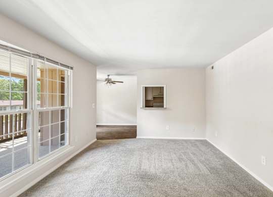 Open Area at The Groves Apartments, Raleigh, NC