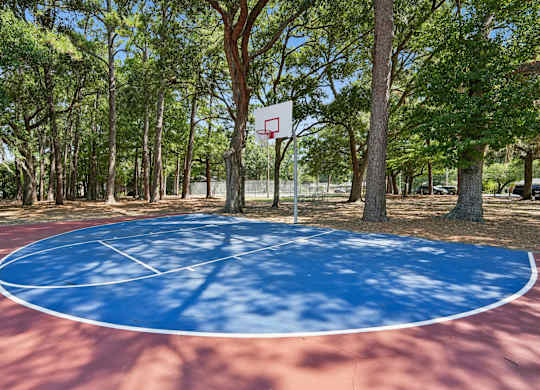 A basketball court surrounded by trees.