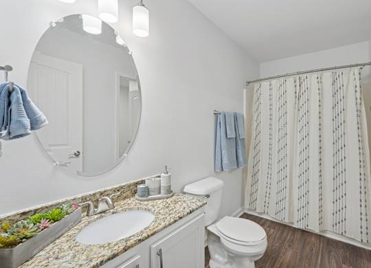 A bathroom with a white toilet, sink, and shower curtain.