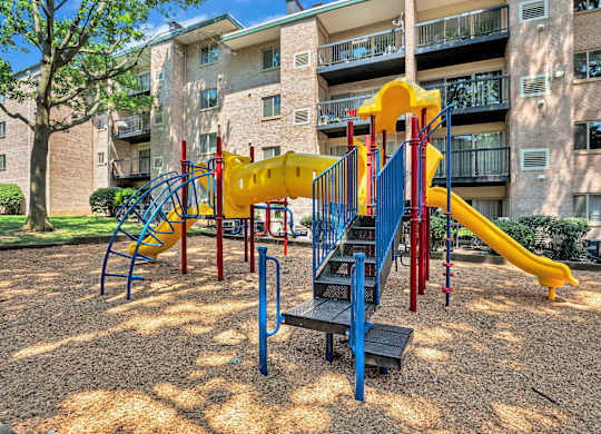 A playground with a yellow slide and a blue slide.
