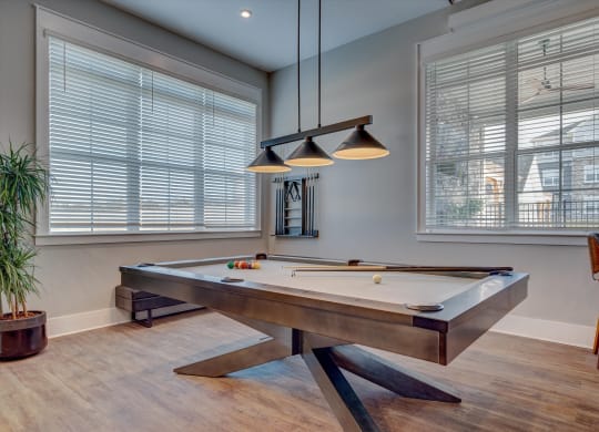 Overlook at Riverside Pool Table