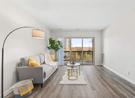 A living room with a grey couch, yellow pillows, and a plant on the windowsill.