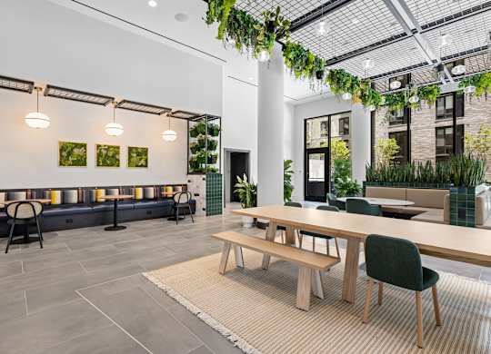 A modern office space with a long table and chairs, a bench, and a green plant hanging from the ceiling.