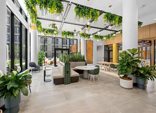 A modern indoor space with a glass ceiling, furnished with a variety of seating options and adorned with lush green plants.