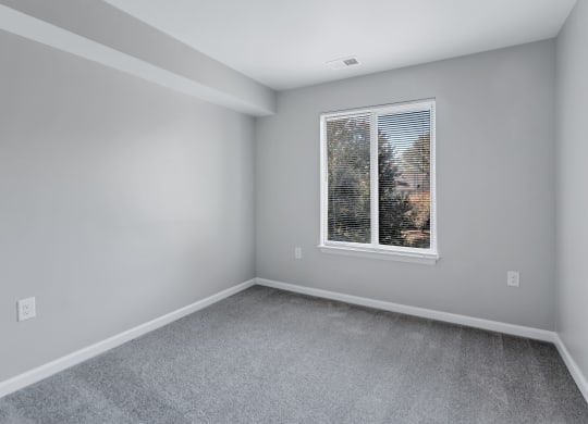 room with carpet and window in a new home