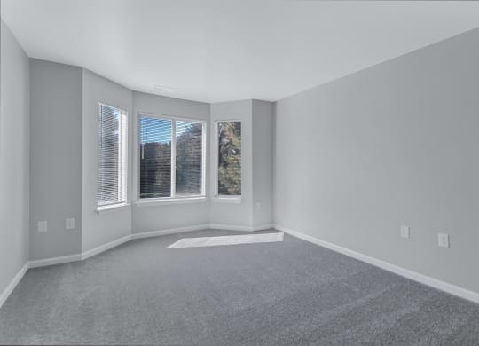an empty living room with three windows and gray carpet