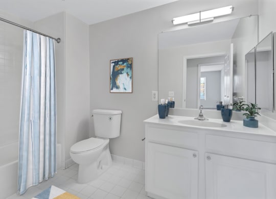 a white bathroom with a shower toilet and sink