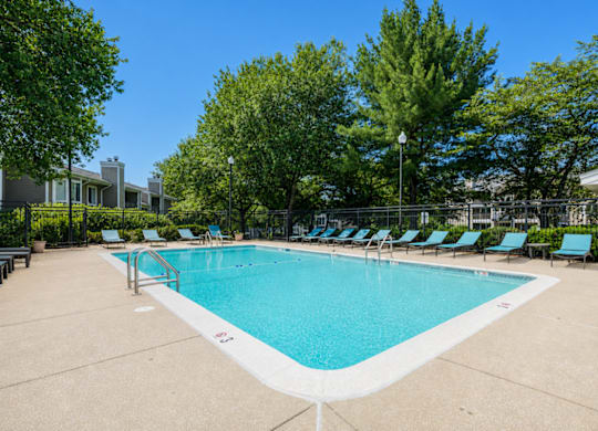 A large swimming pool surrounded by trees and lounge chairs.