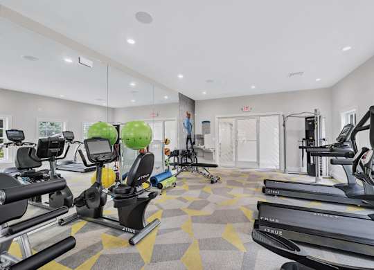 a fitness center with designer carpet, mural of two runners, treadmills, free weights, and various workout equipment.