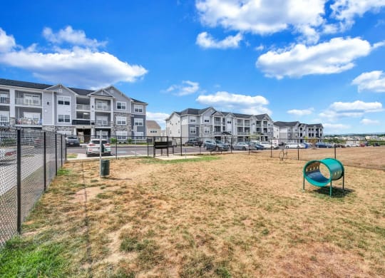 the preserve at ballantyne commons dog park with apartment buildings in the background