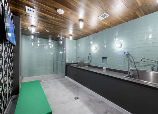 Mission Lofts pet spa with sink and shower