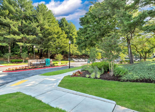 a park with trees and grass and a sidewalk