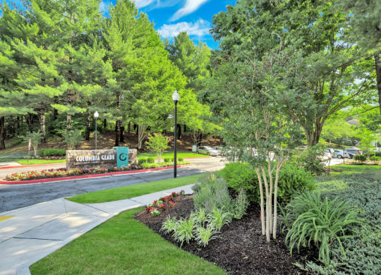 a view of a park with trees and a sidewalk