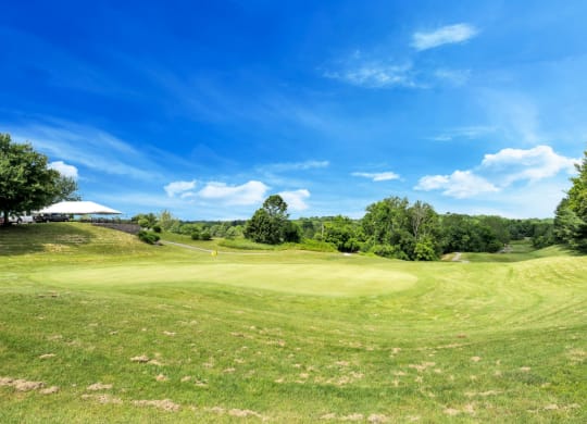 a view of a golf course with green grass and trees