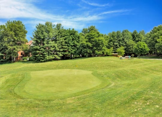 a view of a golf green with trees in the background