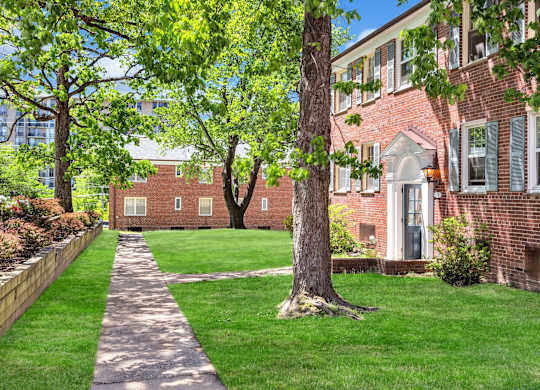 A tree stands in front of a red brick building.