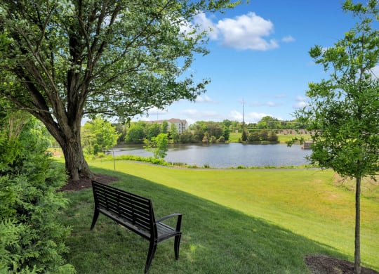 Views of the lake at Waterside at Reston.