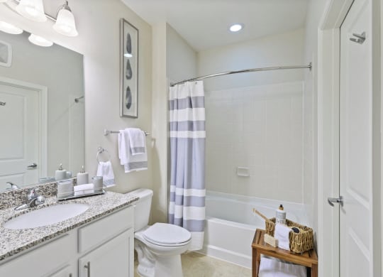 Bathroom at the Flats at Neabsco