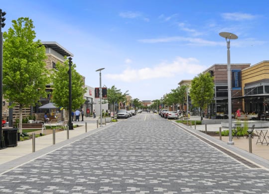a city street with trees and buildings on both sides