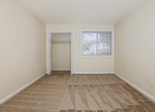 an empty living room with carpet and a window