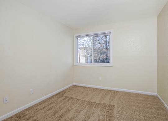 an empty room with carpet and a window